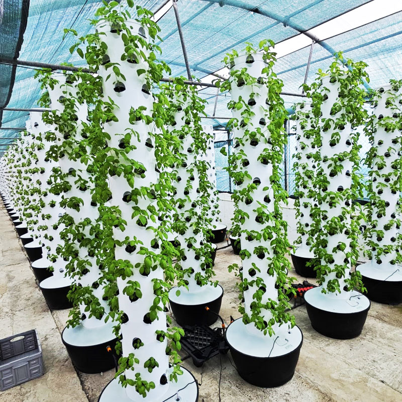 Hydroponic Tower - 고품질 간편 설치 소형 수직 수경