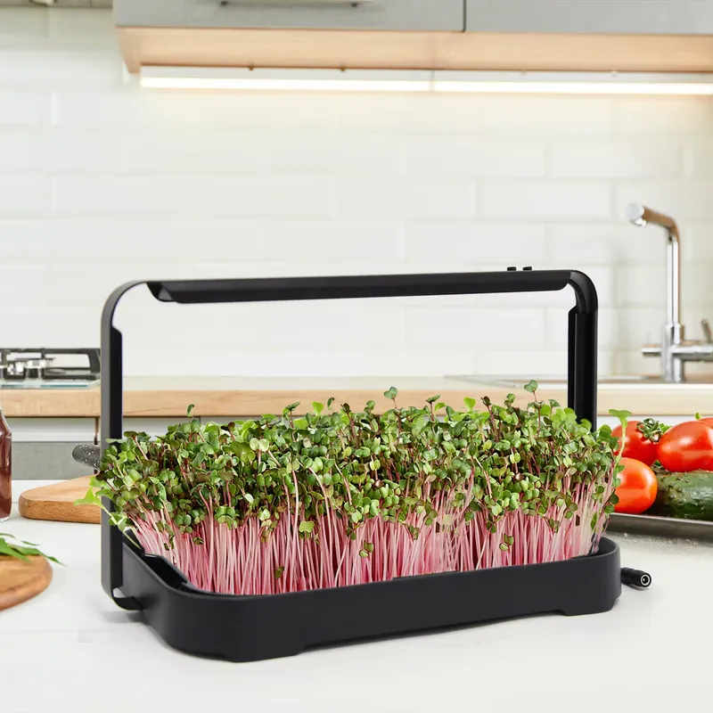 Indoor Garden Kit - 수경재배 트레이 실내 마이크로그린 씨앗 새싹