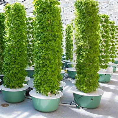 조명이 있는 에어로포닉 타워 가든 시스템 60개 식물  - Hydroponic Tower 리뷰 및 가격