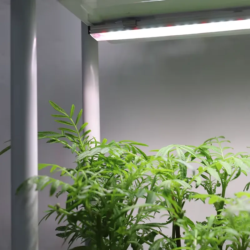 이동식 수직형 3단 자동 급수 스마트 정원 화분 스탠드 - Self Watering Planter 리뷰 및 가격