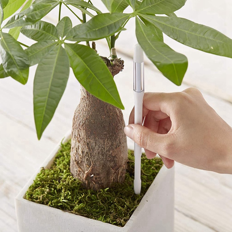 아쿠아미터, 5개, 식물 토양 수분 센서, 실내 화분용 - Plant Sensor 리뷰 및 가격