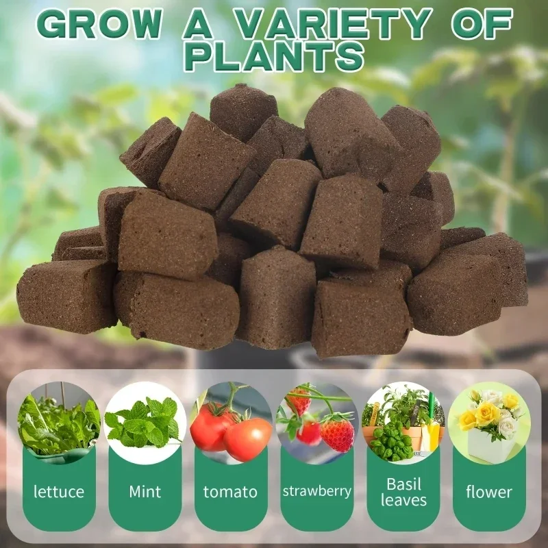 수경 실내 정원 시스템용 묘목 스타터 스펀지 키트, 성 - Indoor Garden Kit 리뷰 및 가격