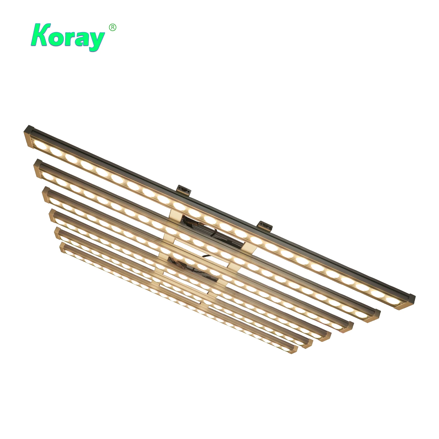 코레이 900W 실내용 풀 스펙트럼 식물등 LED 스트 - Grow Light Led 리뷰 및 가격
