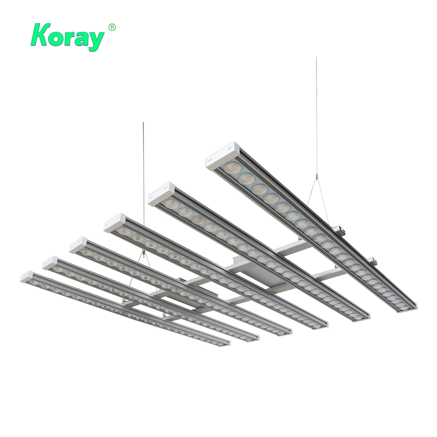 코레이 900W 실내용 풀 스펙트럼 식물등 LED 스트 - Grow Light Led 리뷰 및 가격