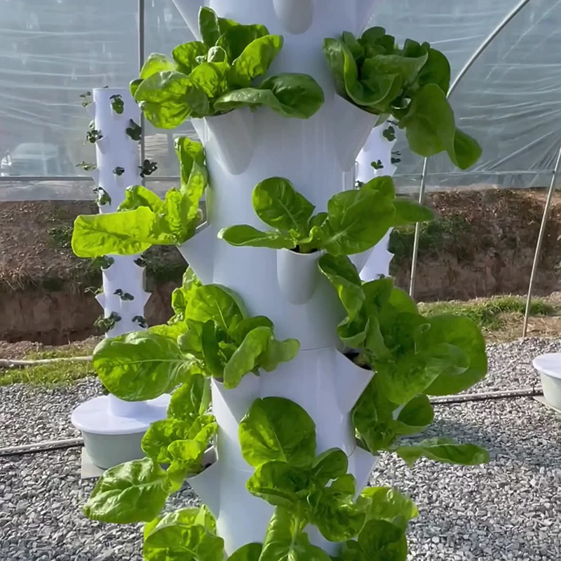 LED 식물 재배등을 갖춘 수직 수경 재배 타워, 지능 - Grow Light Led 리뷰 및 가격